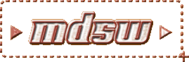 mdsw logo